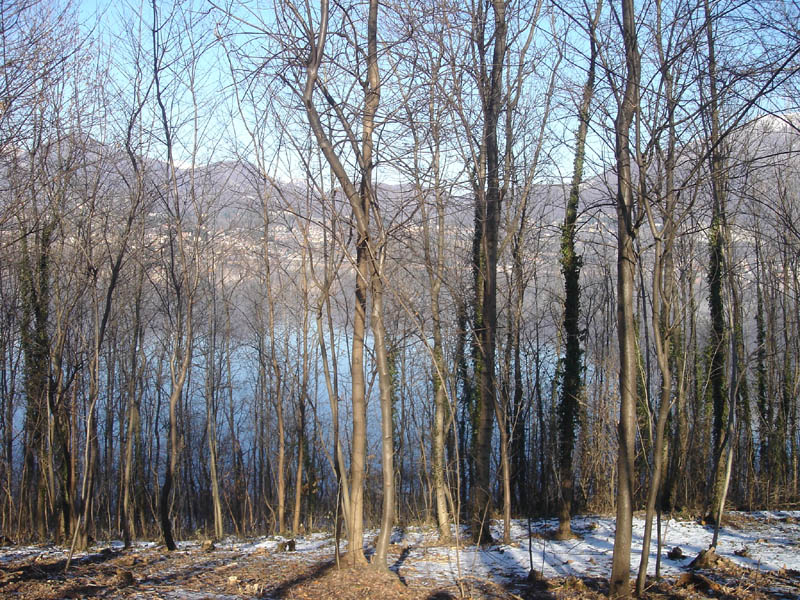 Laghi....della LOMBARDIA